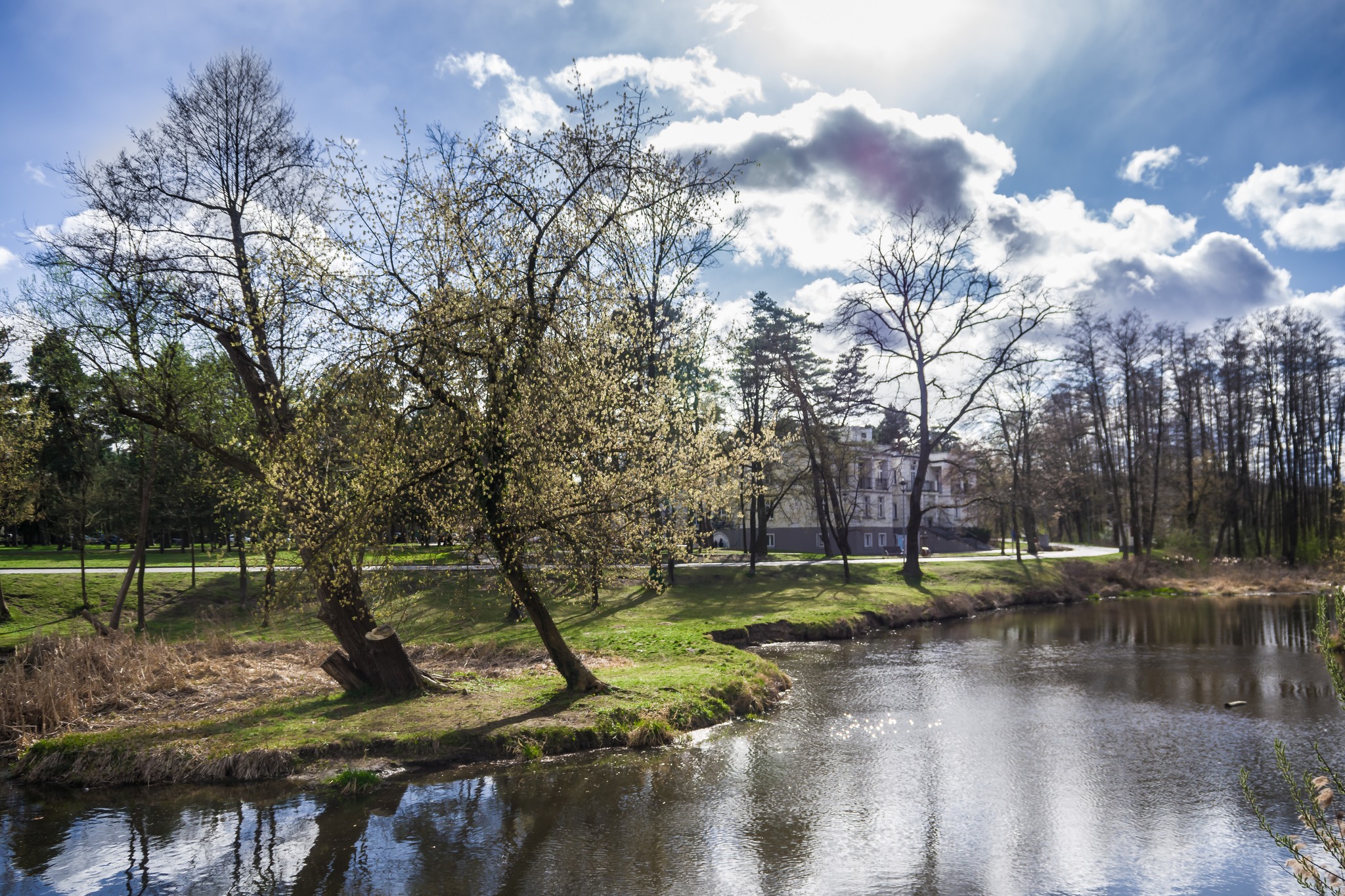 Z nurtem Jeziorki – zobacz film o urokach rzeki i jej znaczeniu