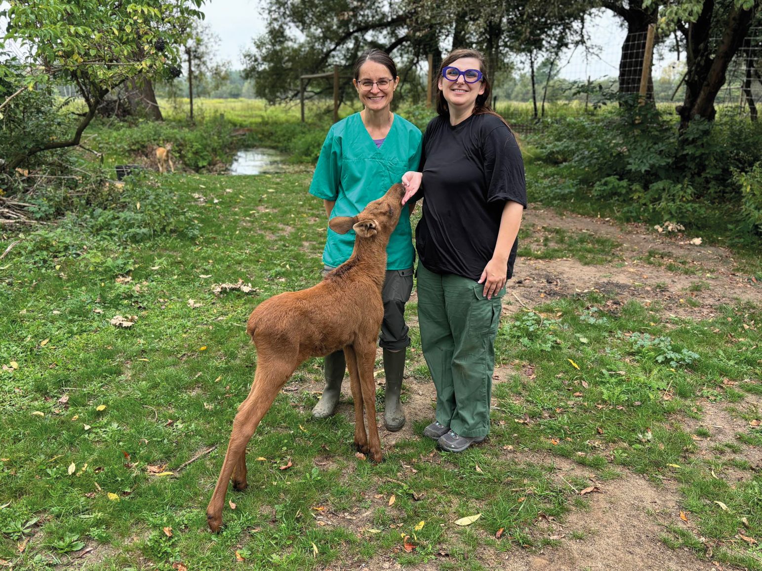 Wspieraj lokalnie – przekaż 1,5% podatku na fundacje i stowarzyszenia