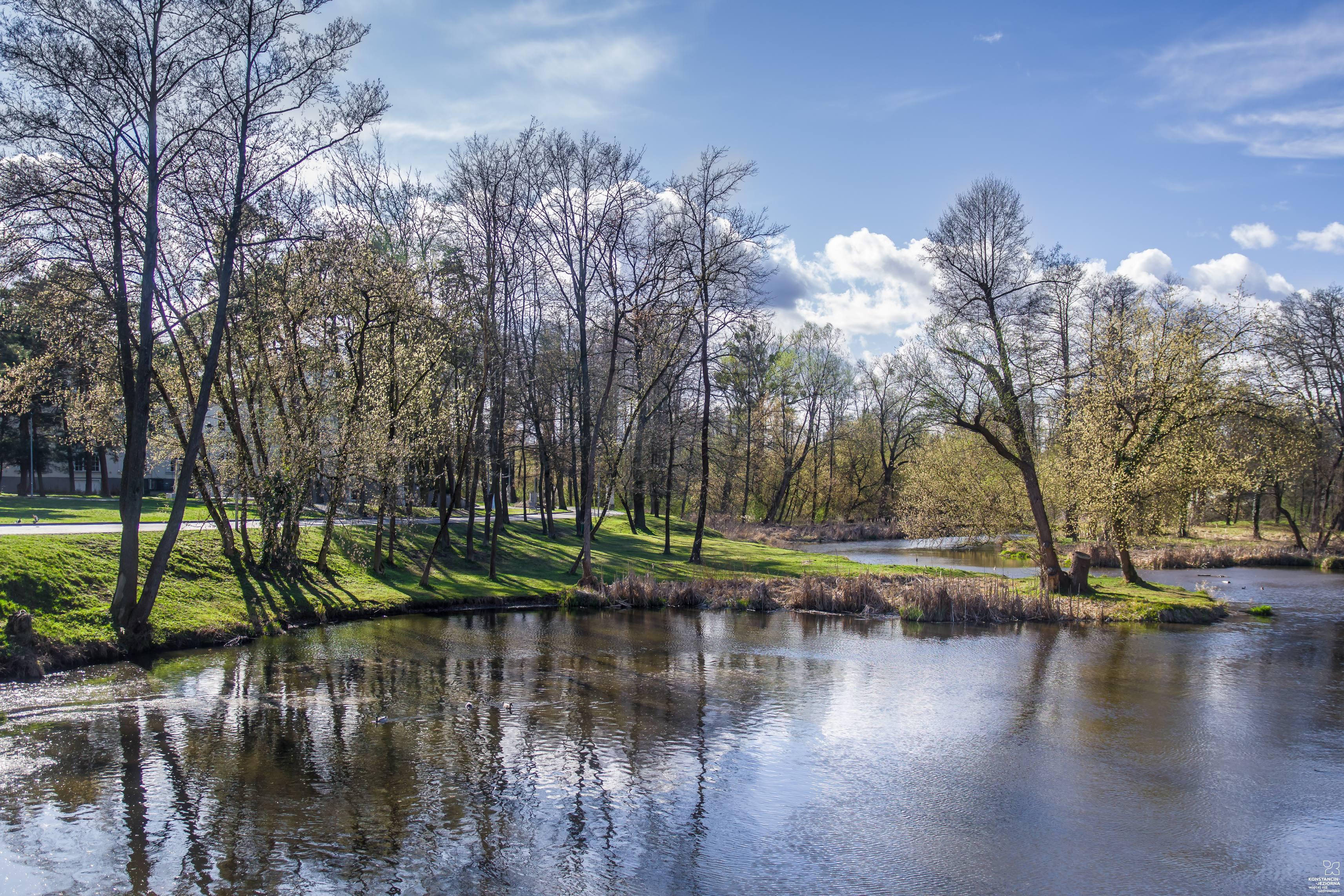 Błękitno-zielona infrastruktura – gmina szuka wykonawcy planu