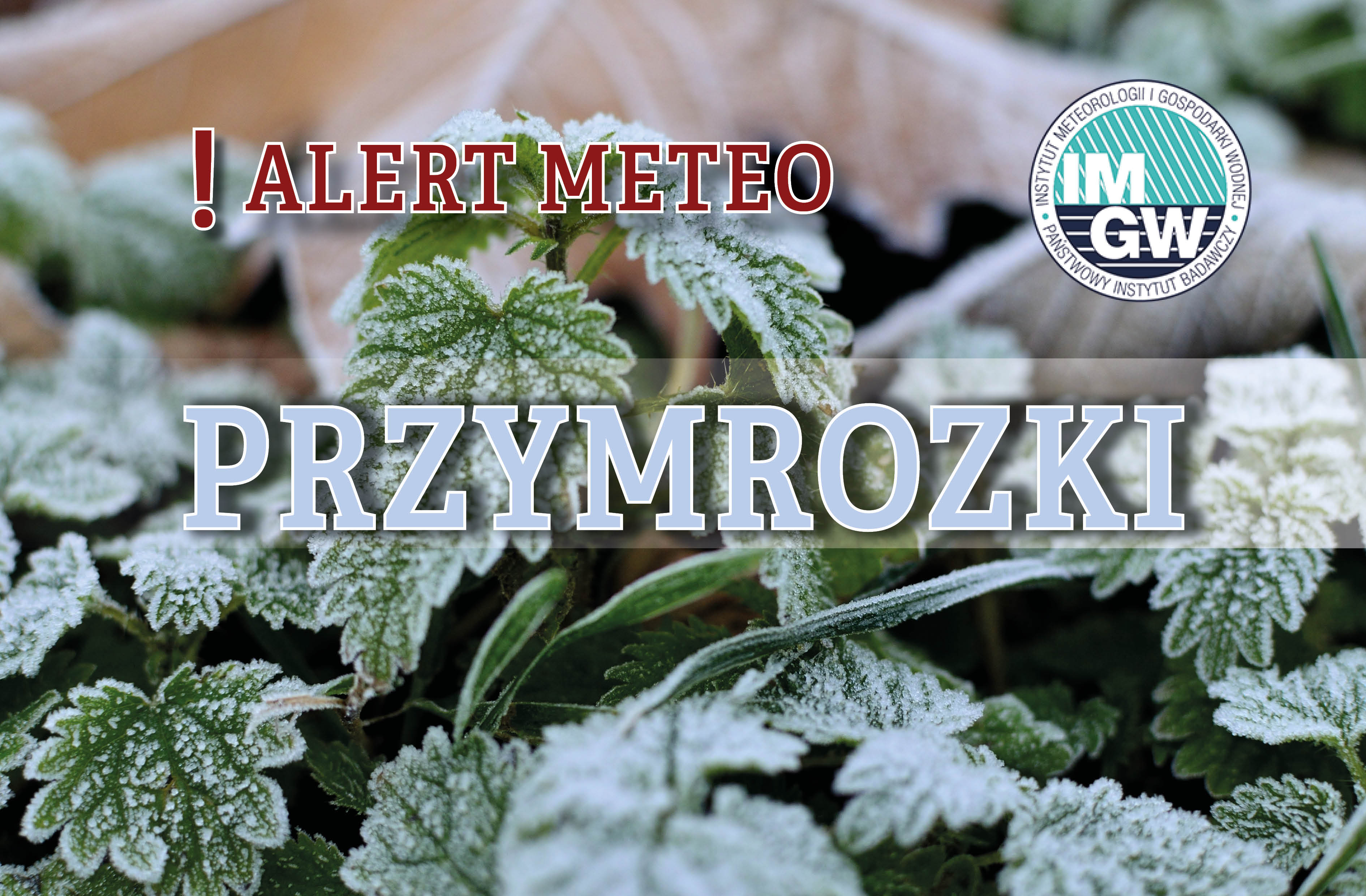 Alert meteo pierwszego stopnia: Przymrozki