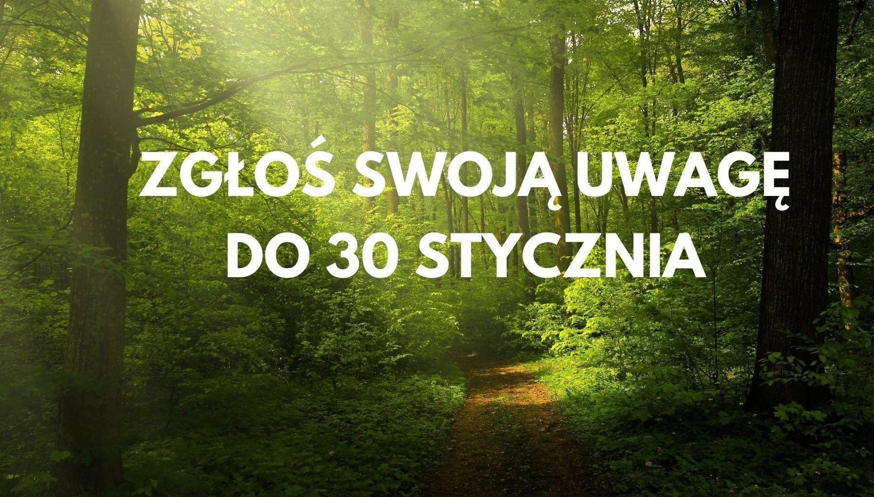 Do 30 stycznia konsultacje Strategii z Prognozą oddziaływania